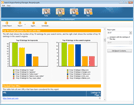 Professional SEO reports